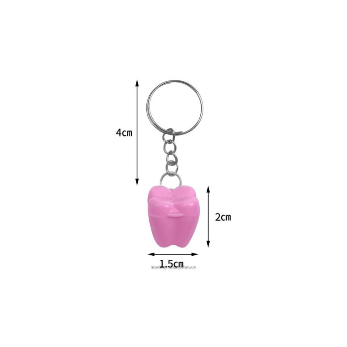 Tooth-shaped keyring container for baby teeth